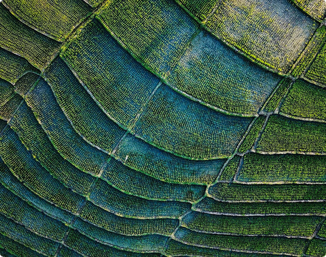 Aerial shot of fields