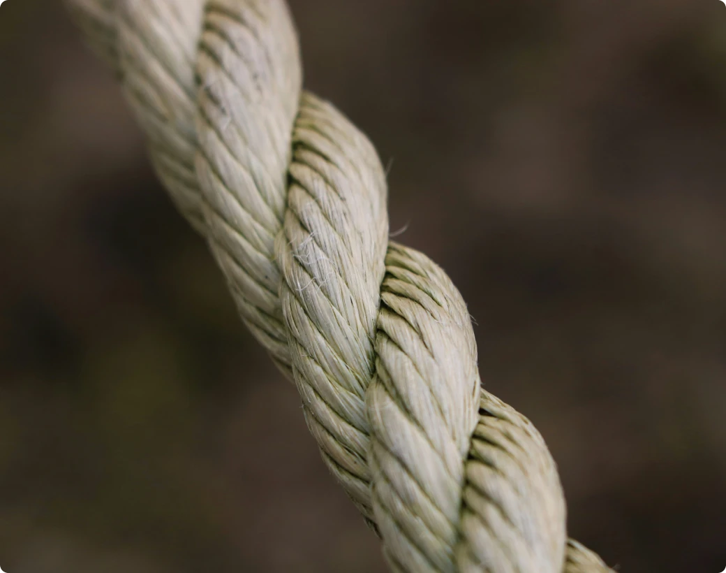 Closeup of rope