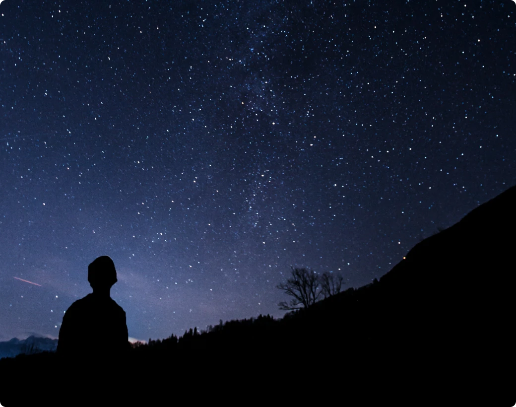 Silhouette against a starry night sky