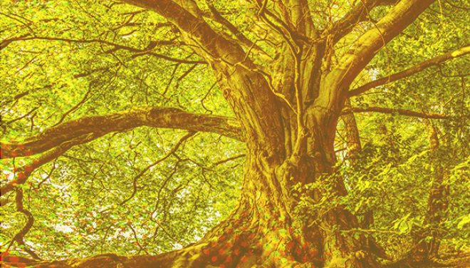 ESG is the Key to Business Growth and Resilience